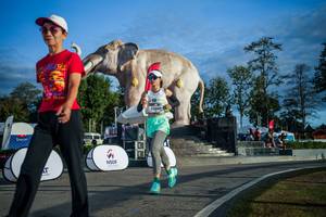 BIB: 
                            <button type="button" onclick="openModal(26541611)" class="btn btn-primary btn-sm float-right btn-popup" data-toggle="modal" data-target=".modal-high-quality">
                        <i class="fas fa-shopping-cart"></i> Add to Cart
                    </button>
                                            <button type="button" onclick="isThisMe(26541611, true)" class="btn btn-success btn-sm float-right btn-popup btn-isme hidden" data-toggle="tooltip" data-placement="bottom" title="นี่คือรูปของคุณใช่ไหม คลิกที่นี่เพื่อเอาเข้าอัลบั้ม">
                        <i class="fas fa-plus"></i> Add to album
                    </button>
                    <button type="button" onclick="isThisMe(26541611, false)" class="btn btn-warning btn-sm float-right btn-popup btn-isnotme hidden">
                        <i class="fas fa-ban"></i> Remove from album
                    </button>